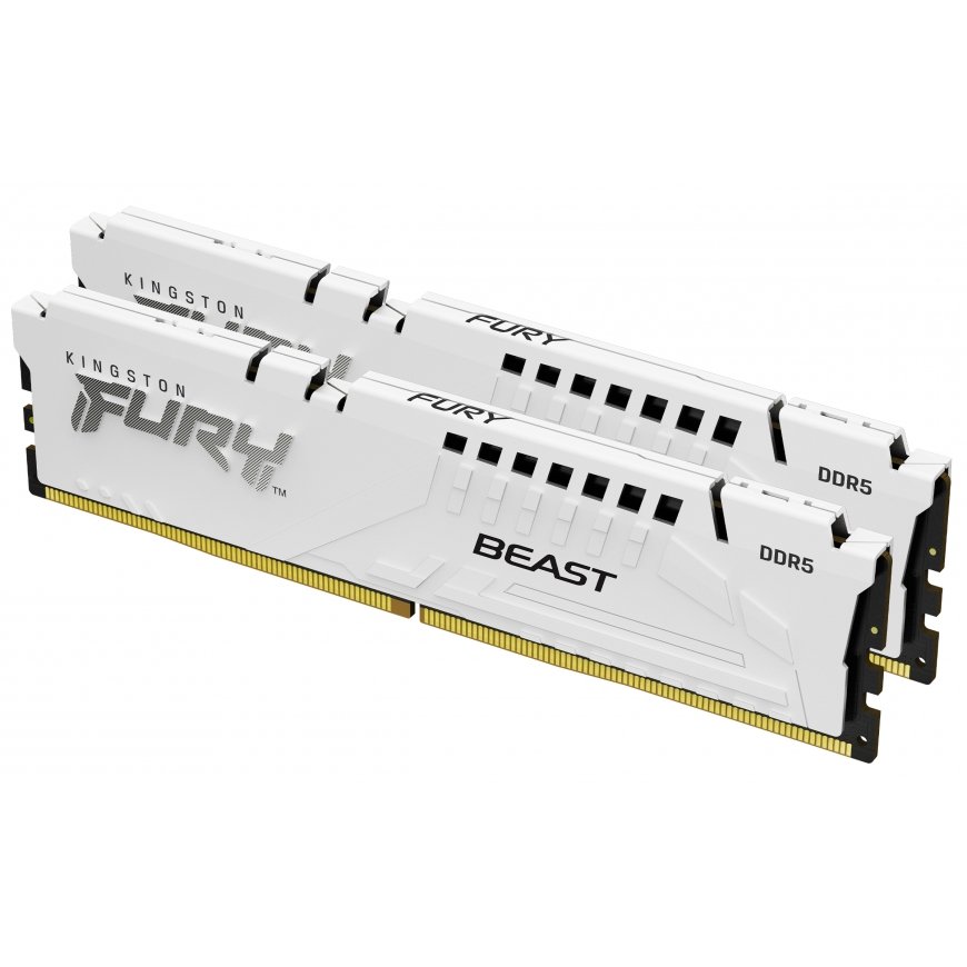 Kingston Technology Kingston Technology FURY Beast