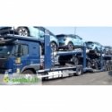 Eurofirany KW/FLORE/799/TUR TURK