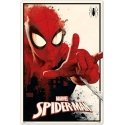 ERIK Marvel Spiderman poster ERIK Marvel Spiderman poster