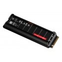 SanDisk Black WD_BLACK™ SN8100 NVMe™ SSD POWERED BY 2 TB, [With Heatsink]