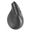 Rapoo EV310M hiiri Office Oikeakätinen RF Wireless + Bluetooth Optinen 2400 DPI Rapoo EV310M hiiri Office Oikeakätinen RF Wireless + Bluetooth Optinen 2400 DPI