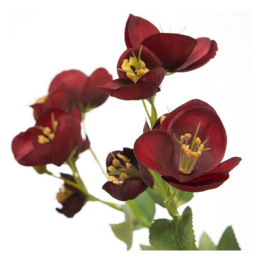 Eurofirany KW/NATU/433/LENTELĒ LENTELĒ – 2