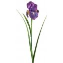 Eurofirany SW/KW/275 30X40 PUD+NUMBER Eurofirany SW/KW/275 30X40 PUD+NUMBER