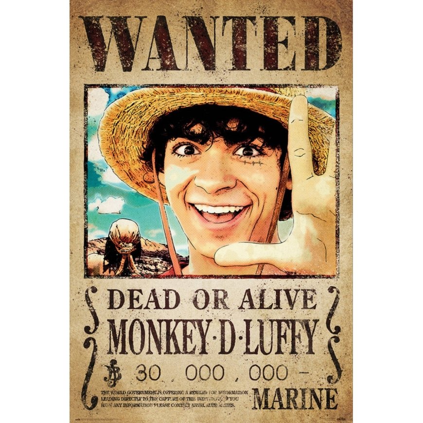 ERIK One Piece Monkey D. Luffy poster – 2