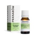 Pranarom ELPO Ziemas zaļais 10 ml Pranarom ELPO Ziemas zaļais 10 ml
