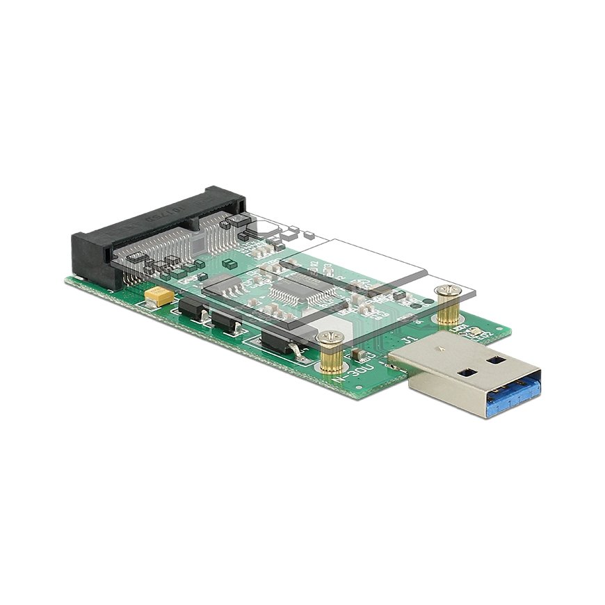 DeLOCK 62681 interfeisa karte/adapteris mSATA