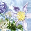Guerlain Aqua Allegoria Flora Salvaggia 125 ml Naised