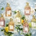 Guerlain Aqua Allegoria Flora Salvaggia 125 ml Женский Guerlain Aqua Allegoria Flora Salvaggia 125 ml Женский