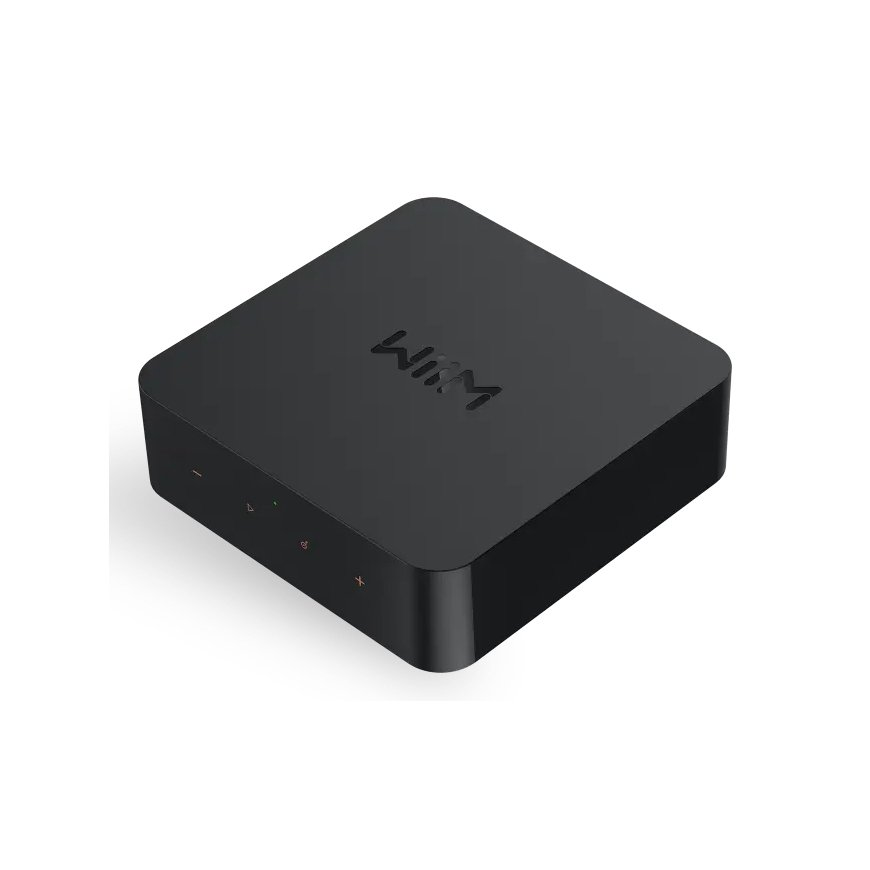 WiiM Pro Plus Mājas Pelēks
