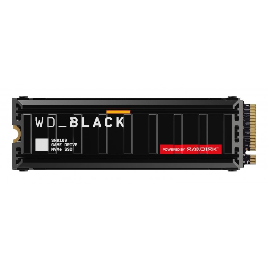 SanDisk Black WD_BLACK SN8100 NVMe 4