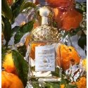 Guerlain Mandarine Basilic 75 ml Moteriškas Guerlain Mandarine Basilic 75 ml Moteriškas