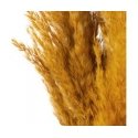 Eurofirany SQ/NAT/43406-548 73CM PUOKŠTE Eurofirany SQ/NAT/43406-548 73CM PUOKŠTE