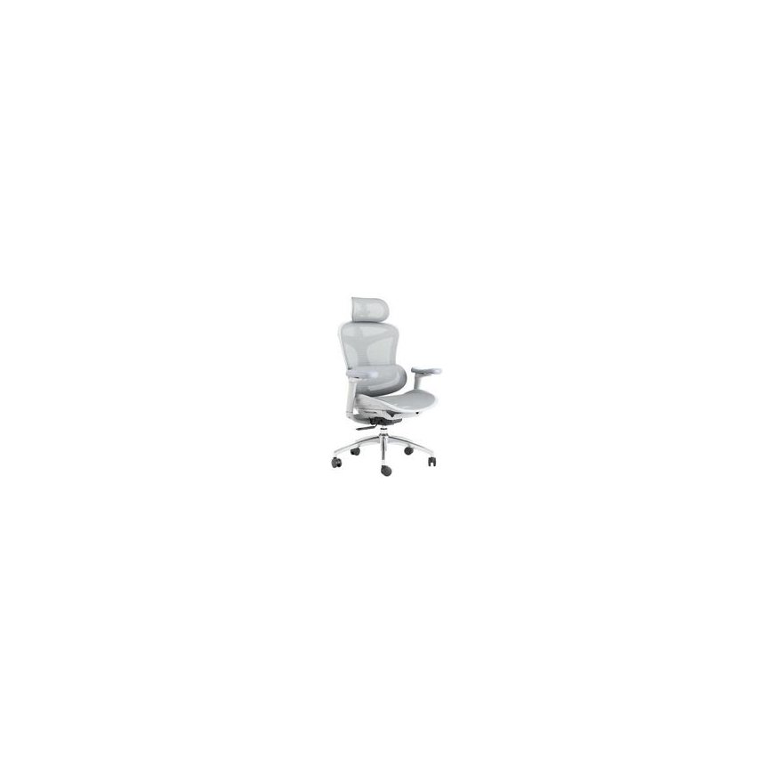 Spacetronik Office Chair Sukamasis Doris 30 Gray