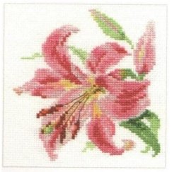 Alisa Beldizart Lily S0-118