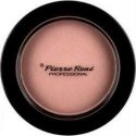 Pierre Rene Professional Пудра для губ 09, 6 г Pierre Rene Professional Пудра для губ 09, 6 г