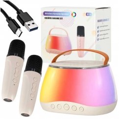 RoGer Portable Bluetooth Karaoke Speaker Set