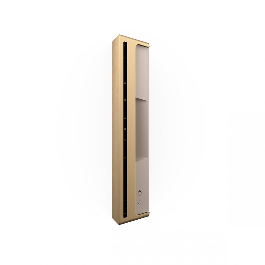 Bang & Olufsen Beosound Level Kuld – 4