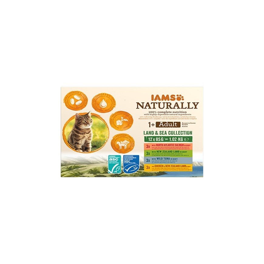 IAMS 161792 šlapias kačių maistas 85 g