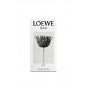 LOEWE Perfumes Solo Ella 100 ml Moteriškas LOEWE Perfumes Solo Ella 100 ml Moteriškas