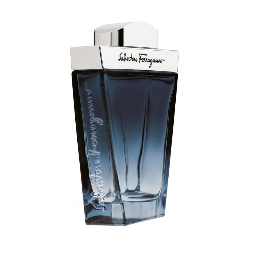 Salvatore Ferragamo Salvatore Ferragamo Subtil 100