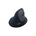 Equip 245120 hiiri Universaali Oikeakätinen RF Wireless + Bluetooth Optinen 1600 DPI Equip 245120 hiiri Universaali Oikeakätinen RF Wireless + Bluetooth Optinen 1600 DPI