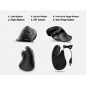 Equip 245119 pele Universāls Labā roka USB Type-A + USB Type-C Optisks 7200 DPI