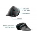 Equip 245119 mouse Universal Right-hand USB Type-A + USB Type-C Optical 7200 DPI