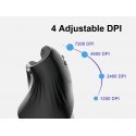 Equip 245119 kompiuterio pelė Universalus Dešinės rankos USB Type-A + USB Type-C Optinis 7200 DPI
