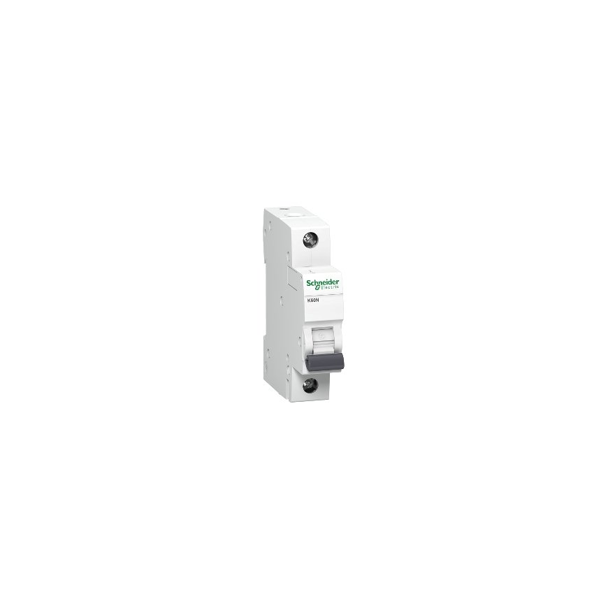 Schneider Electric Schneider Electric A9K02125 slēgiekārta