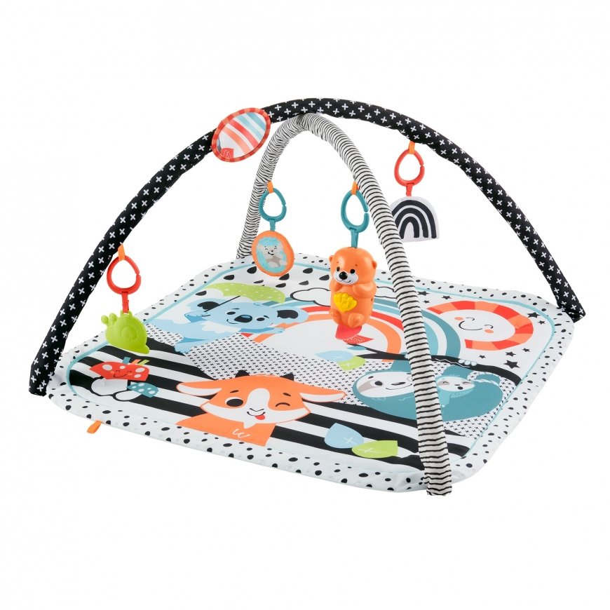 Fisher-Price JMN72 bērnu vingrošanas un rotaļu