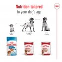 Royal Canin Medium Ageing Gaļa Senior 410 g Royal Canin Medium Ageing Gaļa Senior 410 g