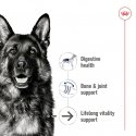 Royal Canin Maxi Ageing Gaļa Senior 410 g Royal Canin Maxi Ageing Gaļa Senior 410 g