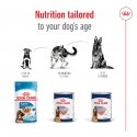 Royal Canin Maxi Ageing Meat Senior 410 g