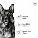 Royal Canin Maxi Adult Liha Aikuinen 410 g Royal Canin Maxi Adult Liha Aikuinen 410 g