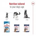 Royal Canin Maxi Adult Gaļa Pieaudzis suns 410 g Royal Canin Maxi Adult Gaļa Pieaudzis suns 410 g