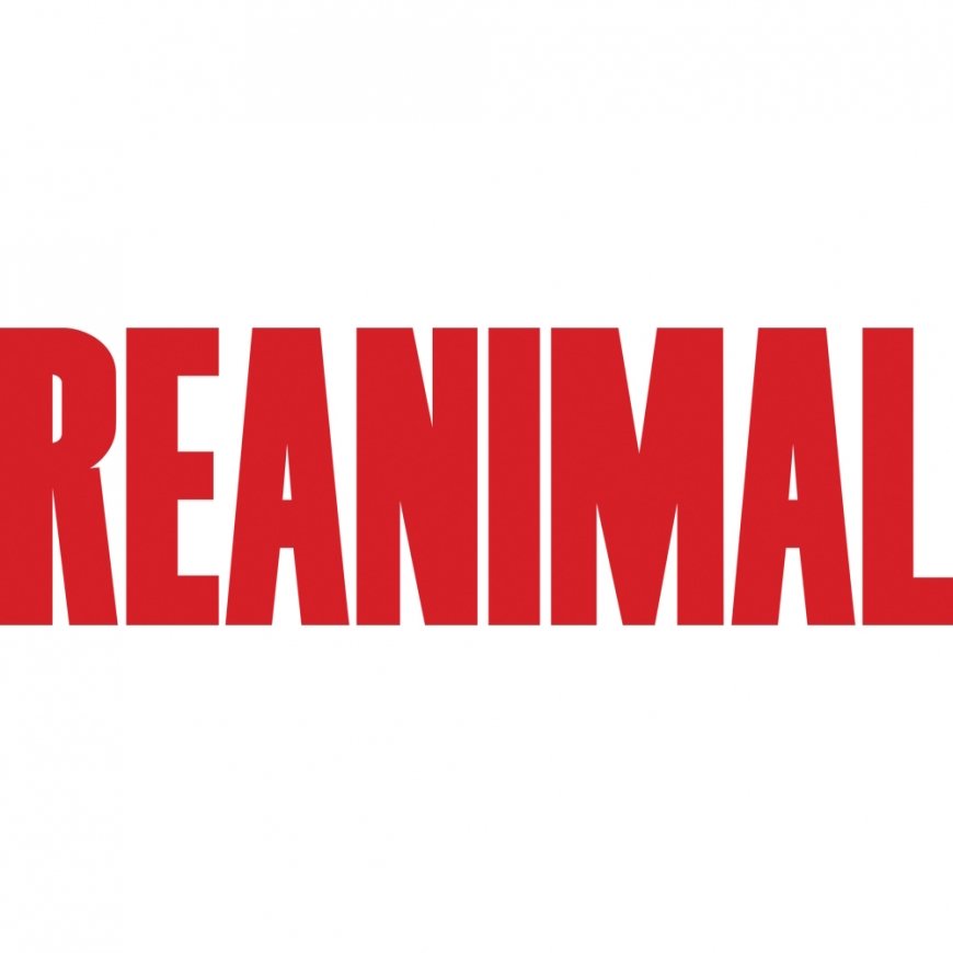 THQ Nordic THQ Nordic Reanimal Standarts