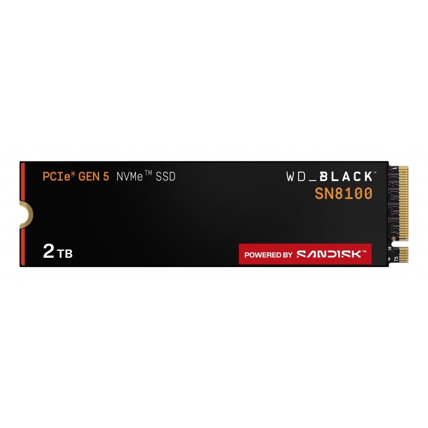 SanDisk Black WD_BLACK SN8100 NVMe 2