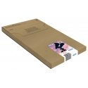 Epson 502XL EasyMail tindikassett 1 tk Originaal High (XL) Yield Must, Tsüaan, Magenta, Kollane Epson 502XL EasyMail tindikassett 1 tk Originaal High (XL) Yield Must, Tsüaan, Magenta, Kollane