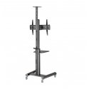 Gembird TV Standfuß mit Rollen 37 - 100 TVS-70T-02 Gembird TV Standfuß mit Rollen 37 - 100 TVS-70T-02