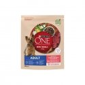 PURINA ONE MINI Dog Adult Beef & Rice 1.5kg