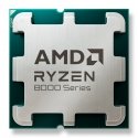 AMD Ryzen 5 8400F procesorius 4,2 GHz 16 MB L3 Dėklas