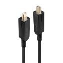 Lindy 38482 DisplayPort-kaapeli 30 m Mini DisplayPort musta Lindy 38482 DisplayPort-kaapeli 30 m Mini DisplayPort musta