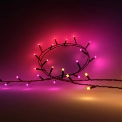 Philips Hue White and colour ambience 8720169246621 умное освещение Smart string light Bluetooth/Zigbee 14 W