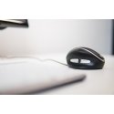 BakkerElkhuizen Oyster Mouse Wireless компьютерная мышь Офисная Для обеих рук Беспроводной RF Лазерн BakkerElkhuizen Oyster Mouse Wireless компьютерная мышь Офисная Для обеих рук Беспроводной RF Лазерн