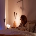 Philips Hue White and colour ambience Настольная лампа Iris