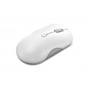 Lenovo 700 mouse Office Ambidextrous RF Wireless + Bluetooth Optical 4000 DPI Lenovo 700 mouse Office Ambidextrous RF Wireless + Bluetooth Optical 4000 DPI