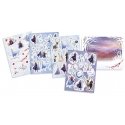 Totum Disney Frozen 2 Window Stickers laste kleeps Totum Disney Frozen 2 Window Stickers laste kleeps