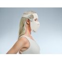 Dreame Chrona Skincare LED Mask valoterapia näomask Dreame Chrona Skincare LED Mask valoterapia näomask
