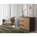 Topeshop 1D3S ANT/ART BA KPL kumode Topeshop 1D3S ANT/ART BA KPL kumode