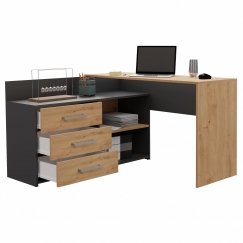 Topeshop DANY ANT/ART KPL computer desk